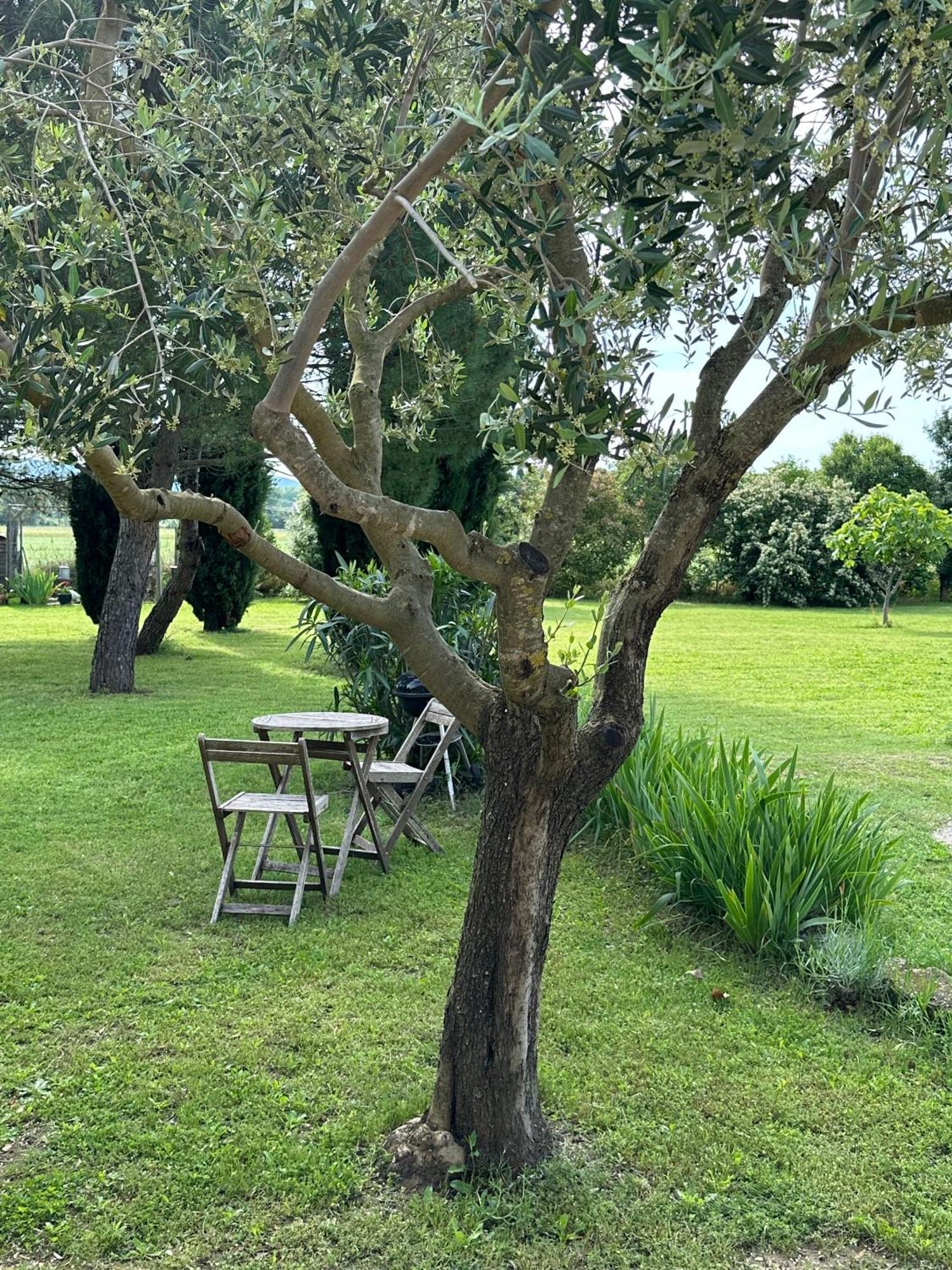Maisonnette Independante Au Calme Dans Un Grand Jardin Châteauneuf-du-Rhône Exterior foto