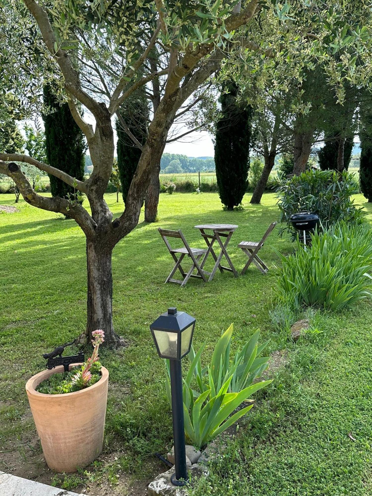 Maisonnette Independante Au Calme Dans Un Grand Jardin Châteauneuf-du-Rhône Exterior foto